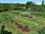 Les bio jardiniers du 72 (Sarthe) - Vue de jardin
