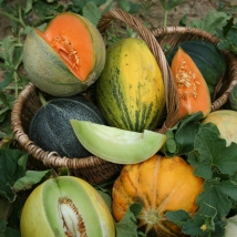 Assortiment de melons